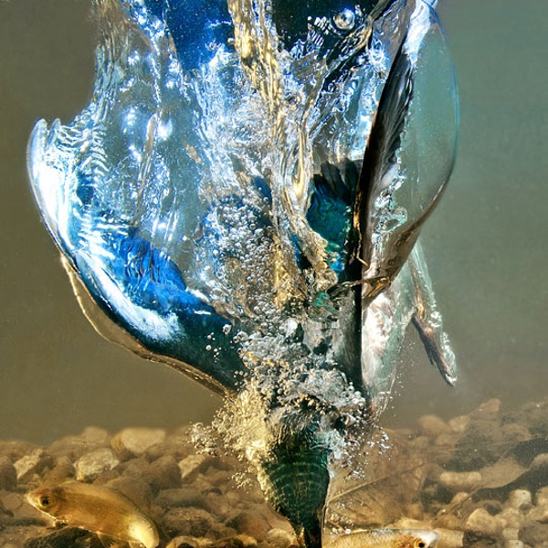 5212_e382f85f391c77dcc87094e04f779596_2.jpg (541×650)