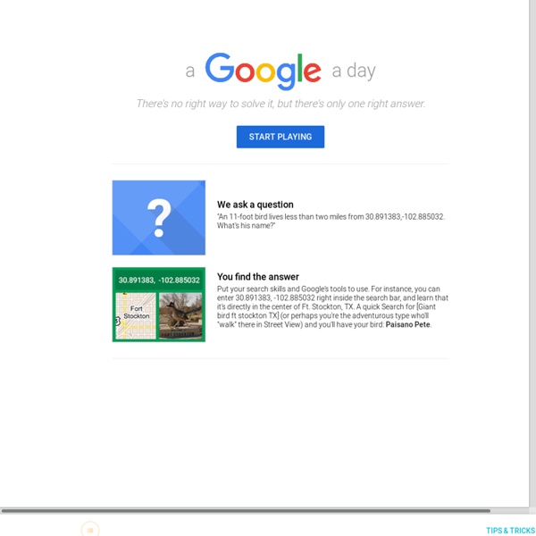 A Google a Day