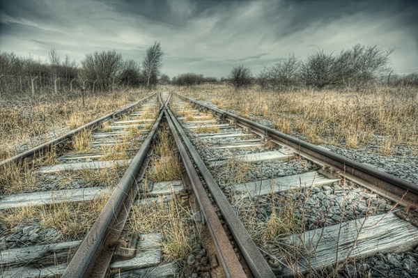 Along_the_tracks_1_b.jpg (800×533)