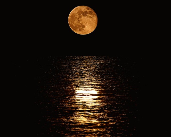 - StumbleUpon