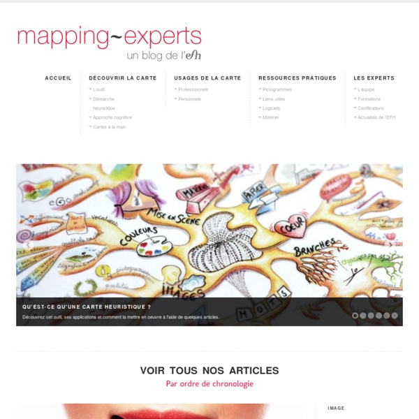 Mapping Experts, le blog dédié à la carte heuristique ou Mind Mapping
