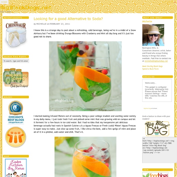 Orange Blossom Frescas - A beverage for the Morning After