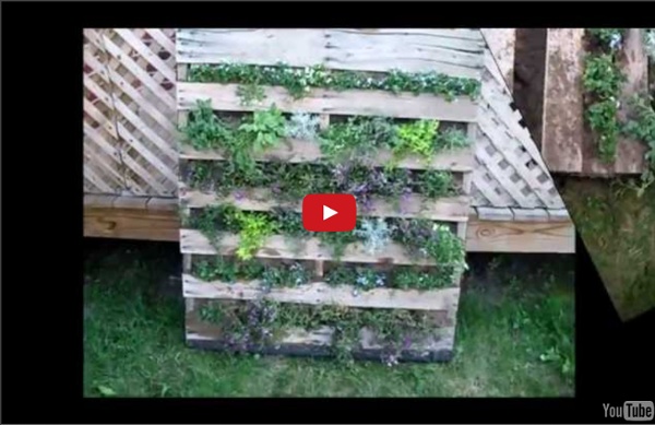 Building a Vertical Pallet Garden