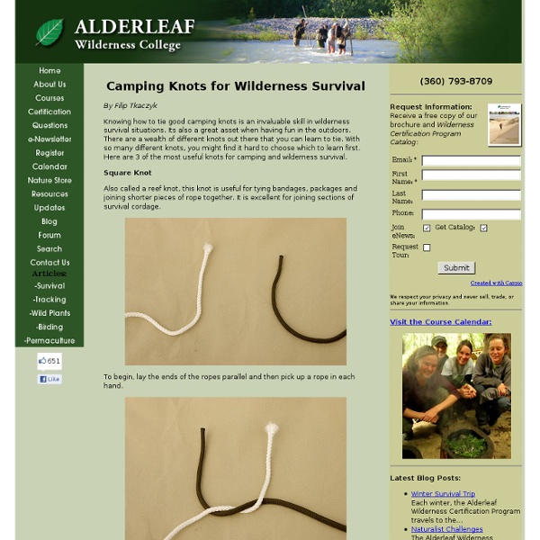 Camping Knots for Wilderness Survival
