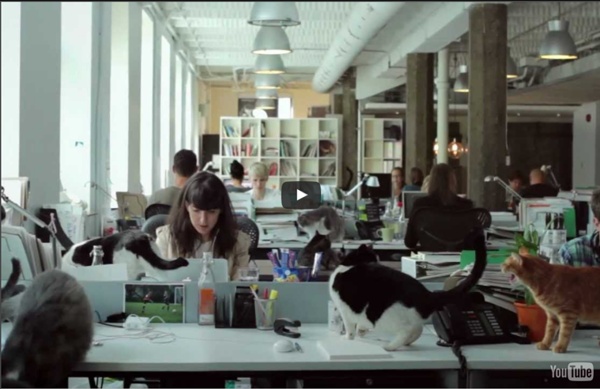 Catvertising