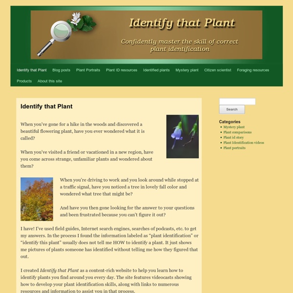 Identify That Plant: Master The Skill Of Plant Identification