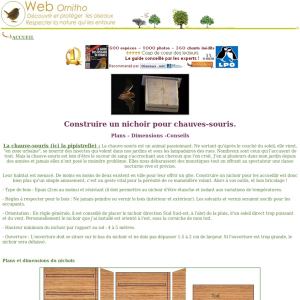 Nichoir Chauve-souris. Plans, dimensions, conseils pour la construction et la fabrication. construct niche for bat, Matiere, bois, orientation...