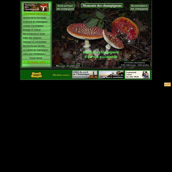 Memento des champignons, dictionnaire des champignons, encyclopédie des champignons, guide des champignons, reconnaître les champignons, cuisine du champignon, reconnaissance visuelle du champignon