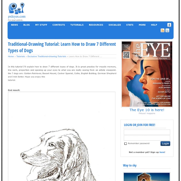 Learn How to Draw 7 Different Types of Dogs - Traditional-Drawing Tutorial