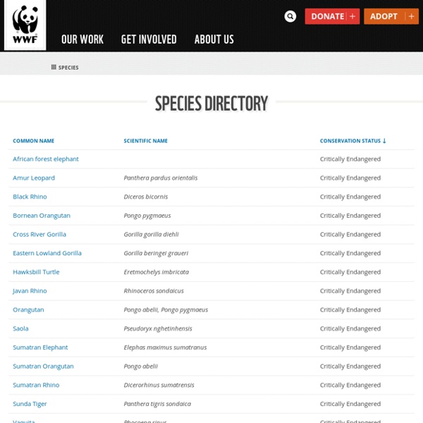 Endangered, Vulnerable, and Threatened Animals