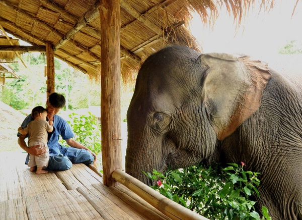 Father-son-and-elephant.jpg (960×699)