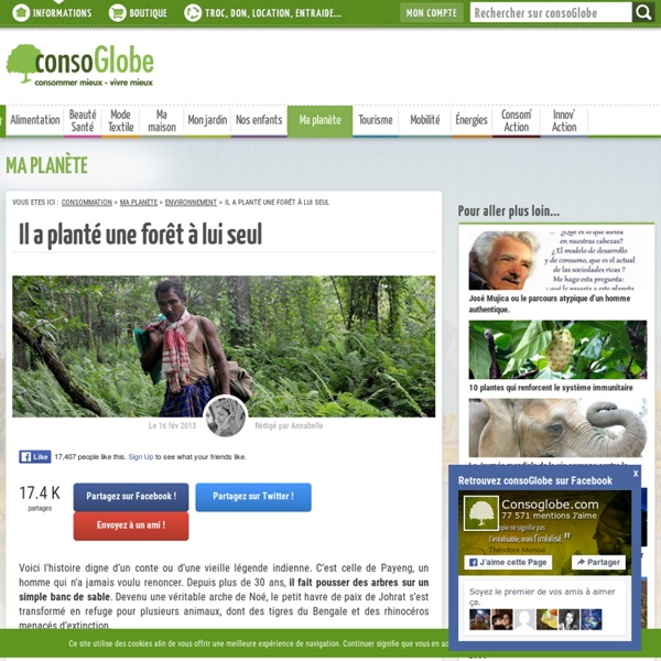 Il a planté une forêt à lui seul