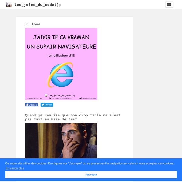 Les_joies_du_code();