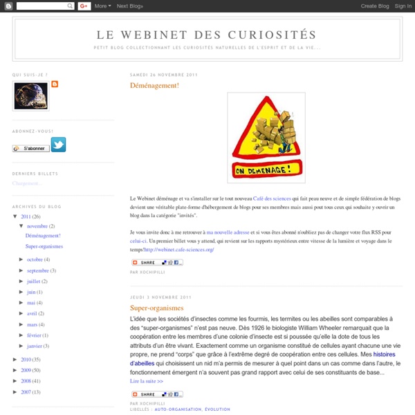 Le webinet des curiosités