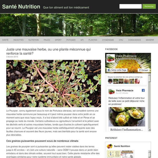 Juste une mauvaise herbe, ou une plante méconnue qui renforce la santé?