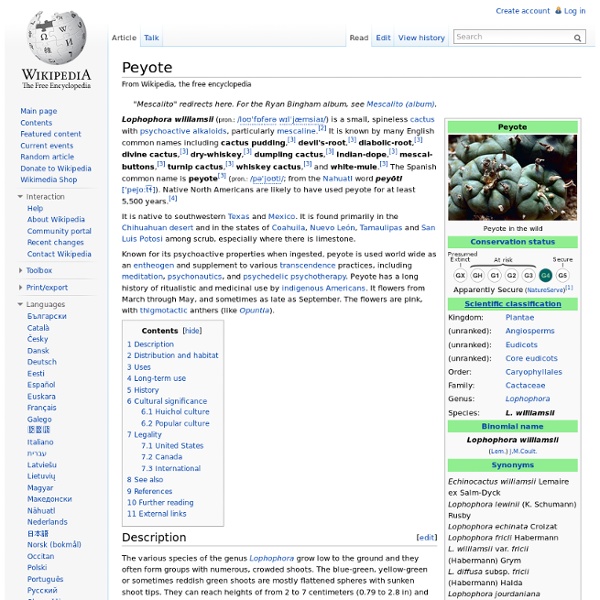 Peyote