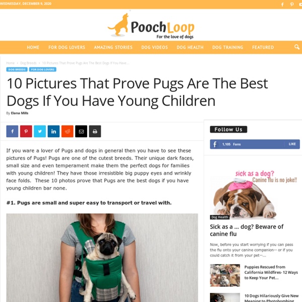 10 Pictures That Prove Pugs Are The Best Dogs If You Have Young Children