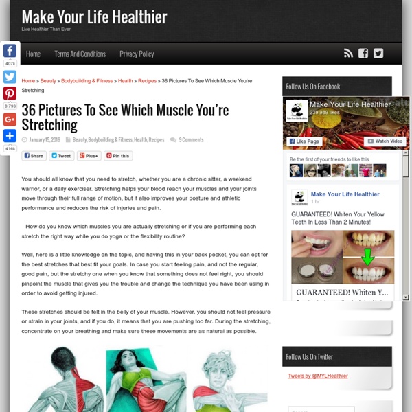 36 Pictures To See Which Muscle You’re Stretching » Make Your Life Healthier