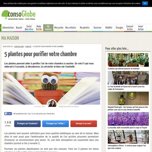 5 plantes pour purifier votre chambre