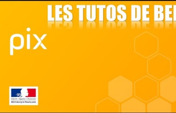 PIX - Présentation en 5 minutes (REUPLOAD)