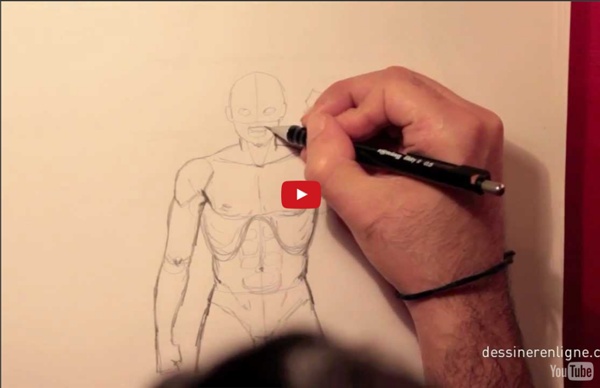 Les proportions du corps humain - le buste - Dessinerenligne.com