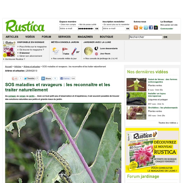 SOS maladies et ravageurs : les reconnaître et les traiter naturellement