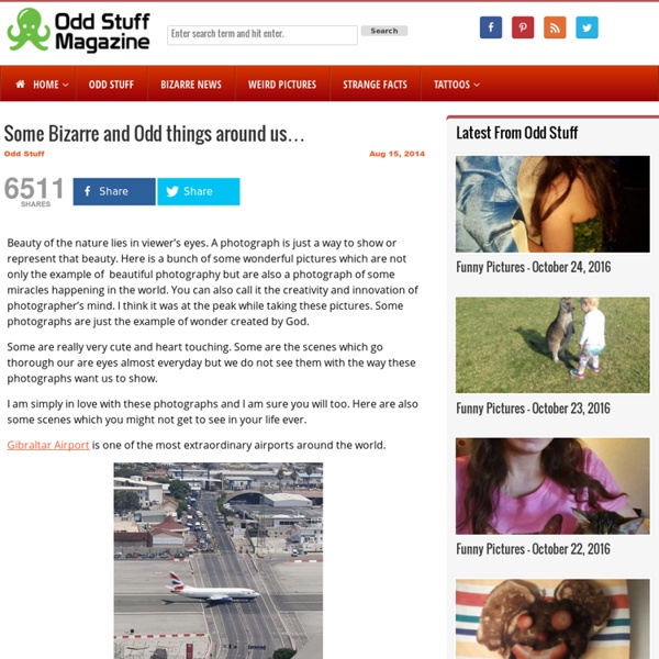Some Bizzare and Odd things around us…