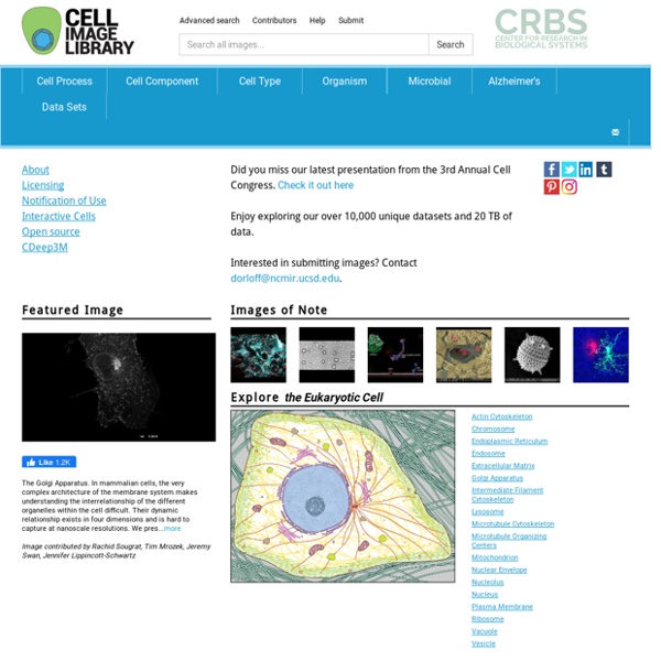 The Cell: An Image Library