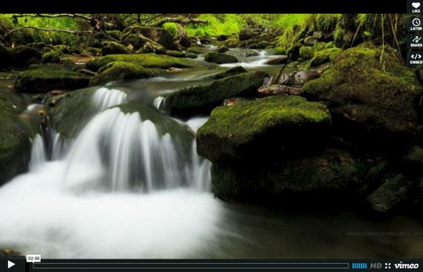 The Water