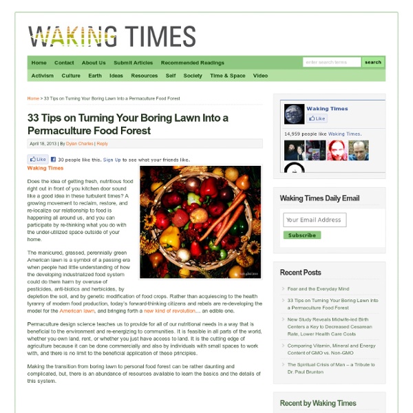 33 Tips: Lawn To Permaculture Food Forest: Booklet