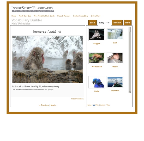 Printable Flash Cards for Vocabulary Words-with Photographs
