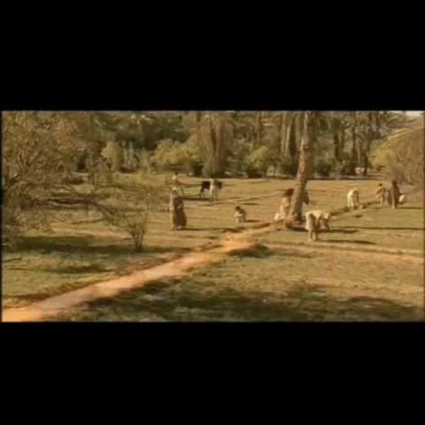 Les villes en Mésopotamie (Uruk...)