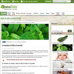 20 manières d'utiliser la menthe