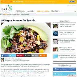 Vegan Protein