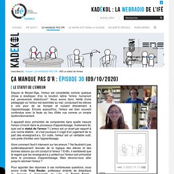 #30 Le statut de l'erreur