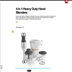 4 in 1 Heavy Duty Hand Blenders