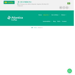 Largest coffee exporting companies in Brazil