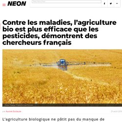 Agriculture bio : aussi efficace que les pesticides ?
