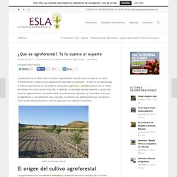 ¿Qué es agroforestal? Te lo cuenta el experto - ESLA