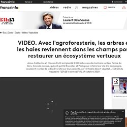 Avec l'agroforesterie, les arbres et les haies reviennent dans les champs pour restaurer un écosystème vertueux