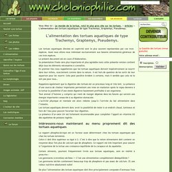 Alimentation des tortues aquatiques