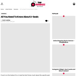 All You Need To Know About U-Seals
