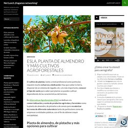 Planta de almendro y más cultivos en Agroforestales ESLA