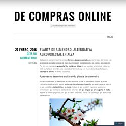 Planta de almendro, alternativa agroforestal en alza