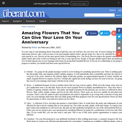Amazing Flowers That You Can Give Your Love On Your Anniversary