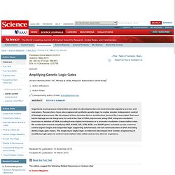 Amplifying Genetic Logic Gates