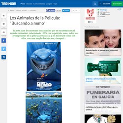 Los Animales de la Pelicula: "Buscando a nemo"