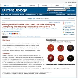 Current Biology - Anthocyanins Double the Shelf Life of Tomatoes by Delaying Overripening and Reducing Susceptibility to Gray Mold