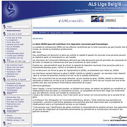 Gène APOE4 et réparation neuronale
