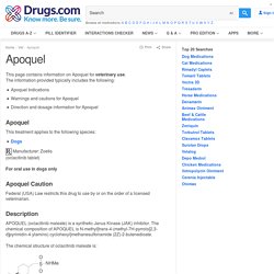 Apoquel for Animal Use